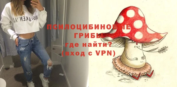 герыч Медногорск