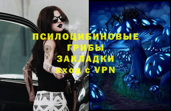 МДПВ Магас