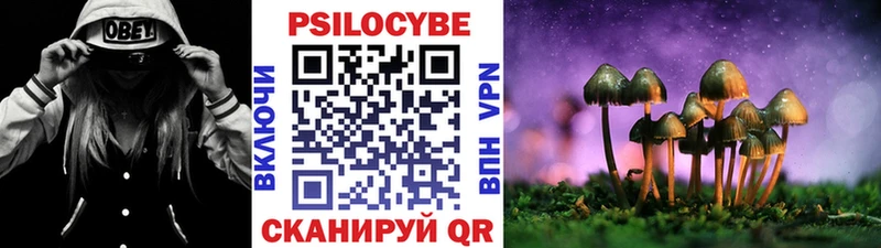 Псилоцибиновые грибы MAGIC MUSHROOMS  Купить где  Алупка 