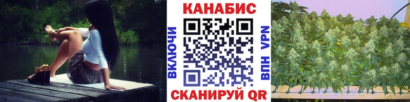Купить где  Алупка  Конопля OG Kush 